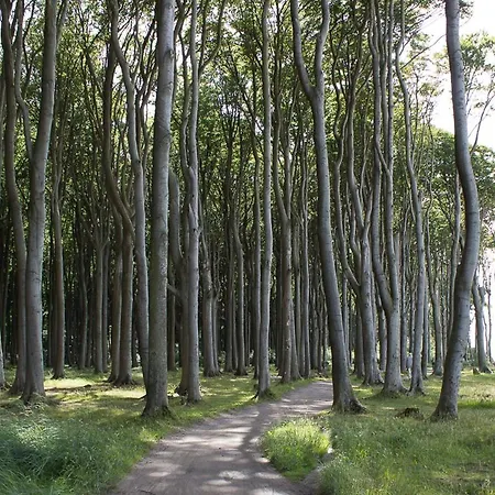 Mara דירה אוסטזיבאד נינהאגן